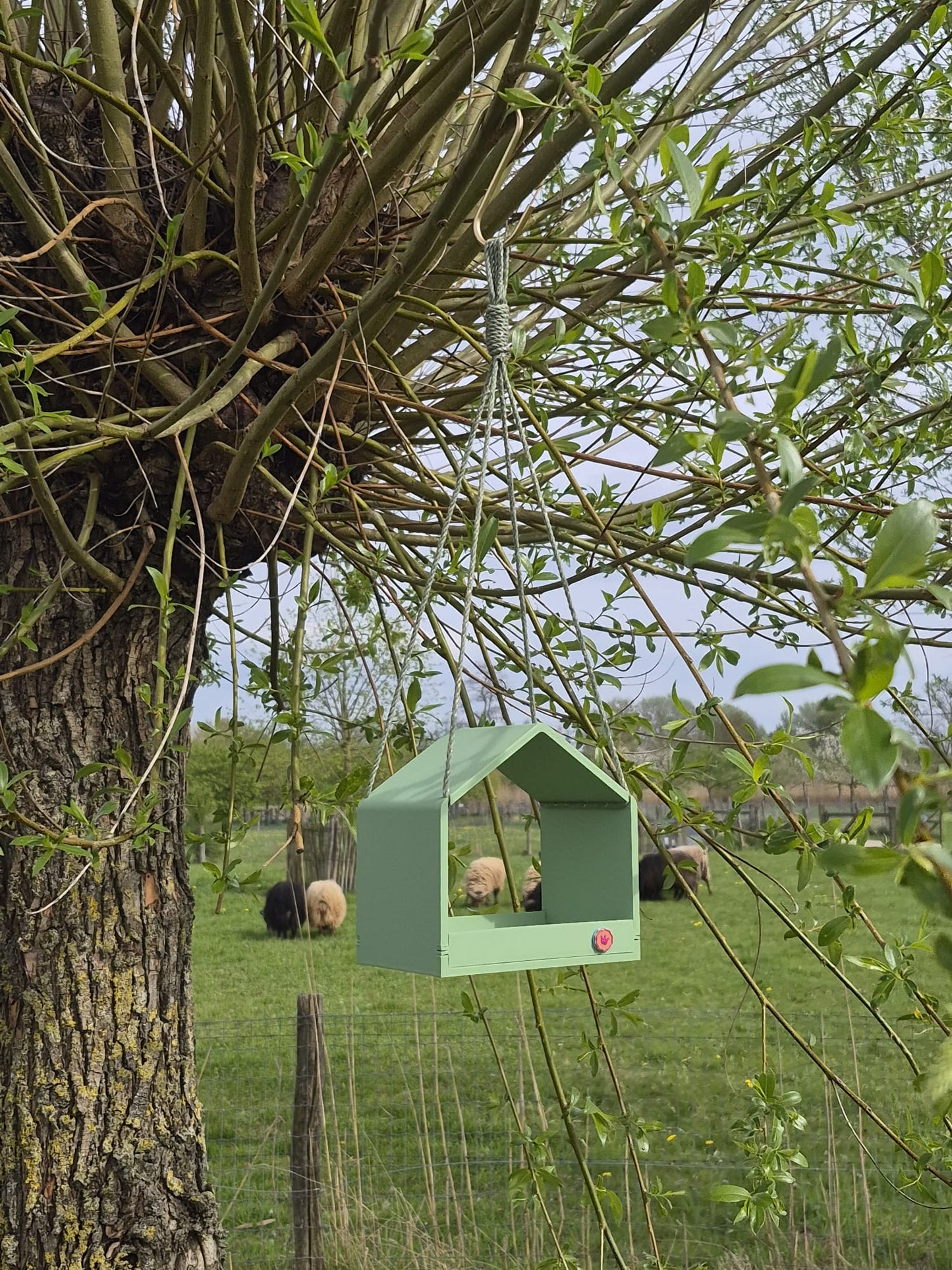 Voederhuisje Eucalyptus