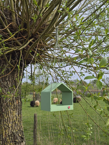 Voederhuisje Eucalyptus
