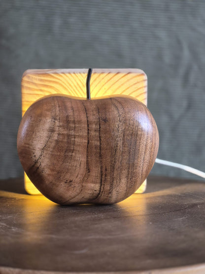 Mooie Lamp #28