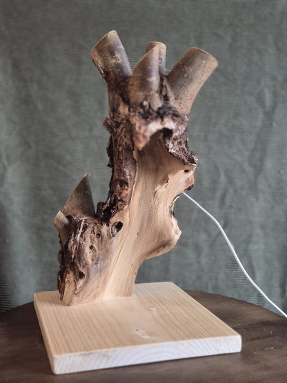 Mooie Lamp #34