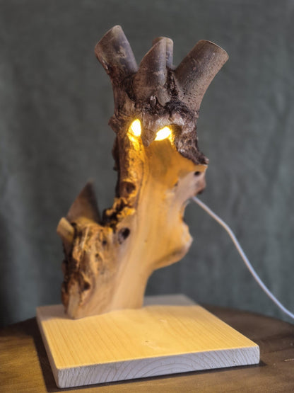 Mooie Lamp #34
